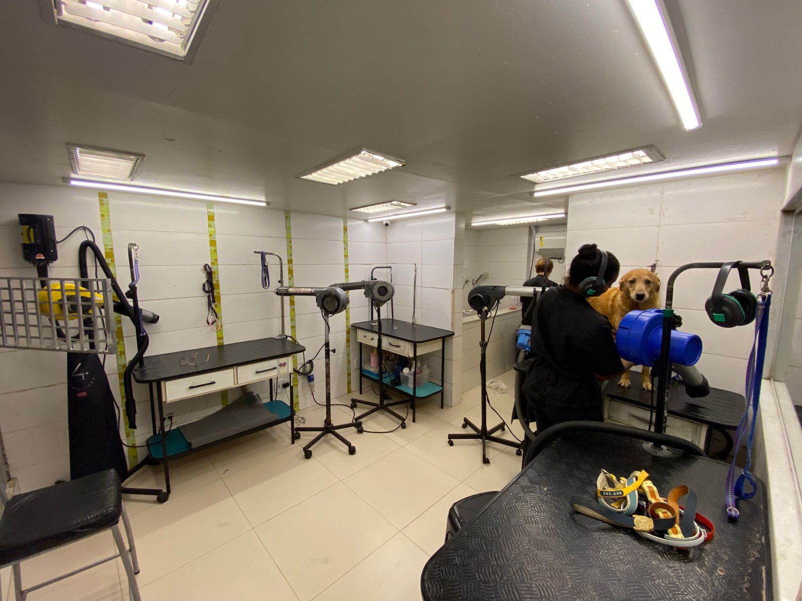 Visão geral do salão de banho e tosa com equipamentos profissionais